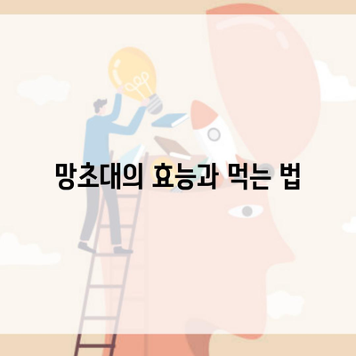 망초대의 효능과 먹는 법