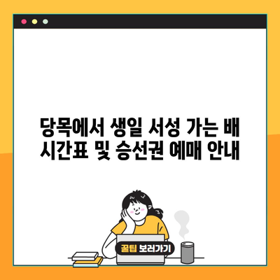 당목에서 생일 서성 가는 배 시간표 및 승선권 예매 안내