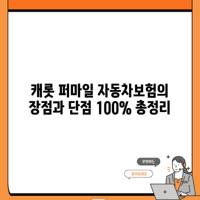 캐롯 퍼마일 자동차보험의 장점과 단점 100% 총정리