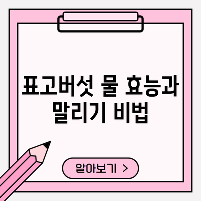 표고버섯 물 효능과 말리기 비법