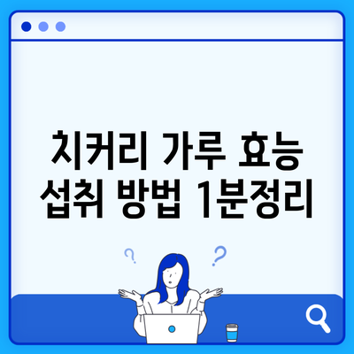 치커리 가루 효능 섭취 방법 1분정리