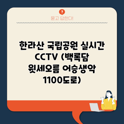 한라산 국립공원 실시간 CCTV (백록담 윗세오름 어승생악 1100도로)