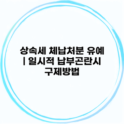 상속세 체납처분 유예 | 일시적 납부곤란시 구제방법