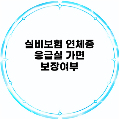 실비보험 연체중 응급실 가면 보장여부