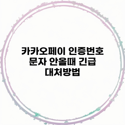 카카오페이 인증번호 문자 안올때 긴급 대처방법