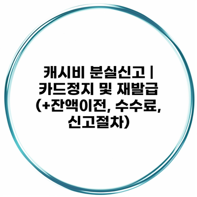캐시비 분실신고 | 카드정지 및 재발급 (+잔액이전, 수수료, 신고절차)