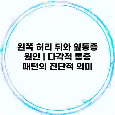 왼쪽 허리 뒤와 옆통증 원인 | 다각적 통증 패턴의 진단적 의미