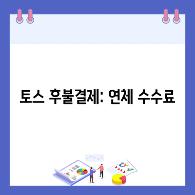 토스 후불결제: 연체 수수료