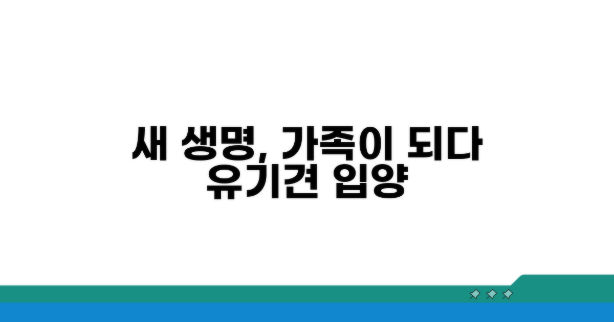 유기견 입양, 희망을 전하는 길