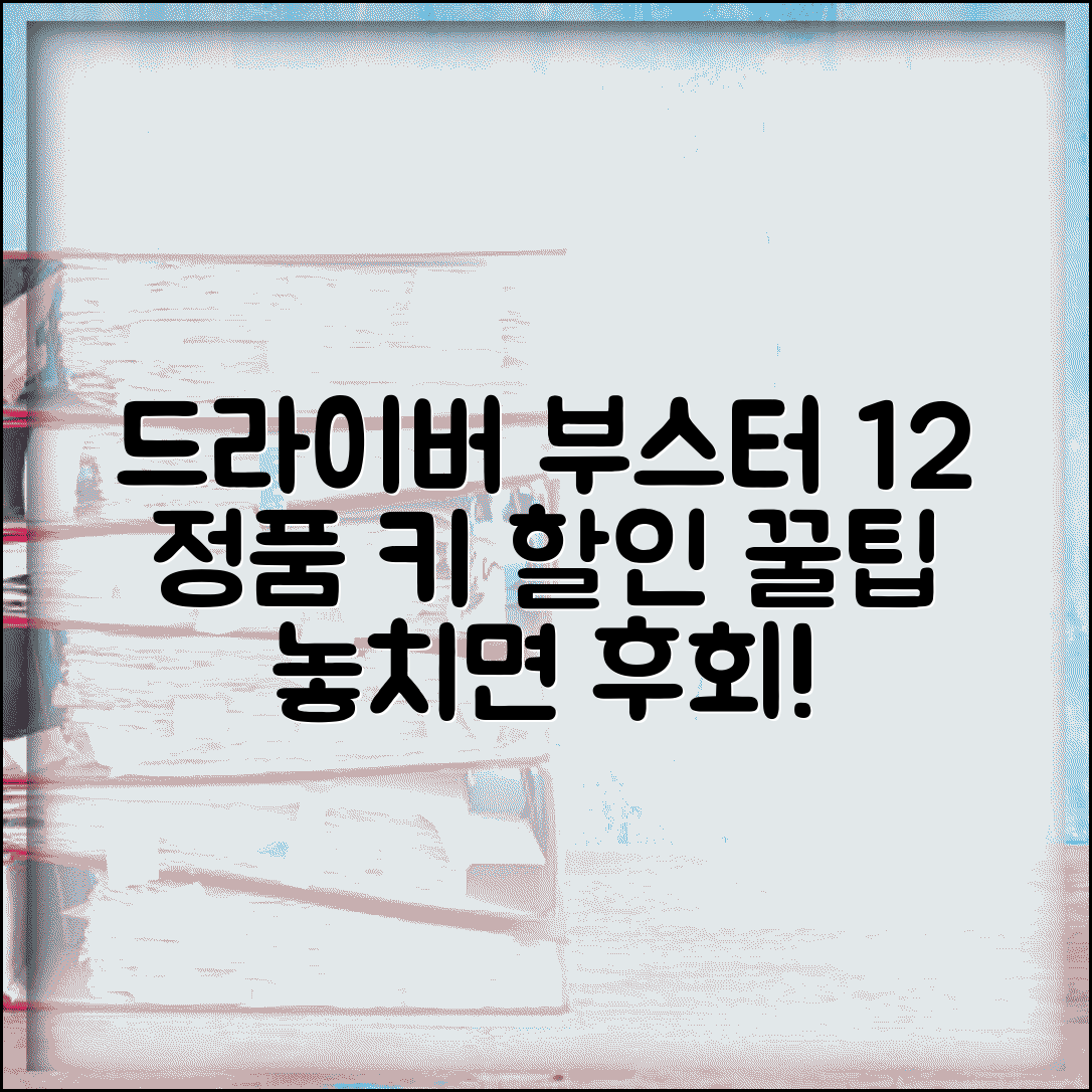 드라이버 부스터 12 라이센스 키 정품 할인 구매 팁
