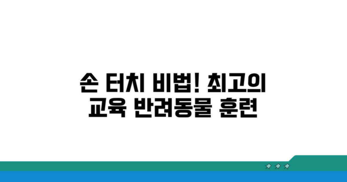 손 터치, 이렇게 가르치세요!