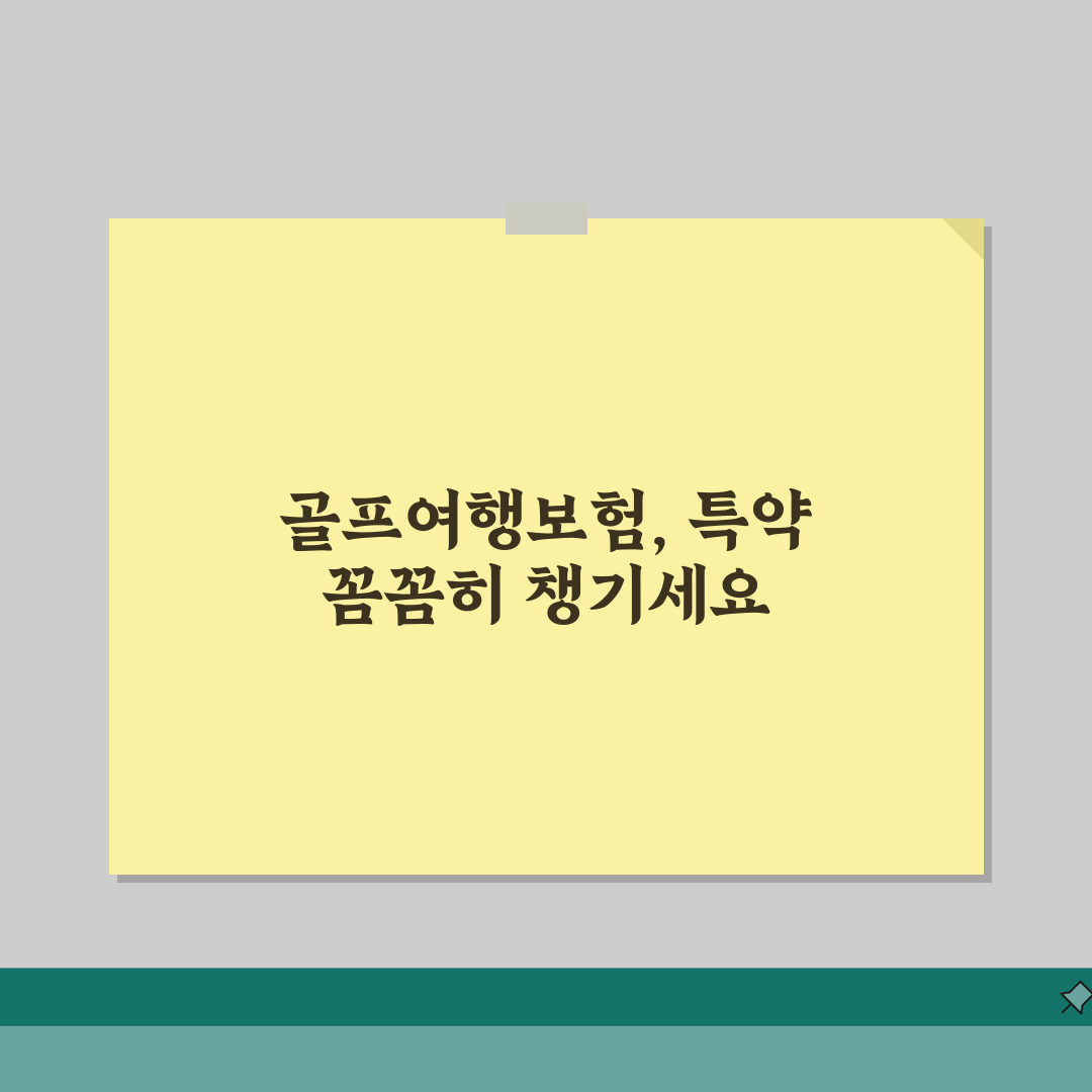 해외여행보험 골프여행 특약선택 가이드 | 골프장 이용부터 고가 장비보험까지 한번에 체험기,