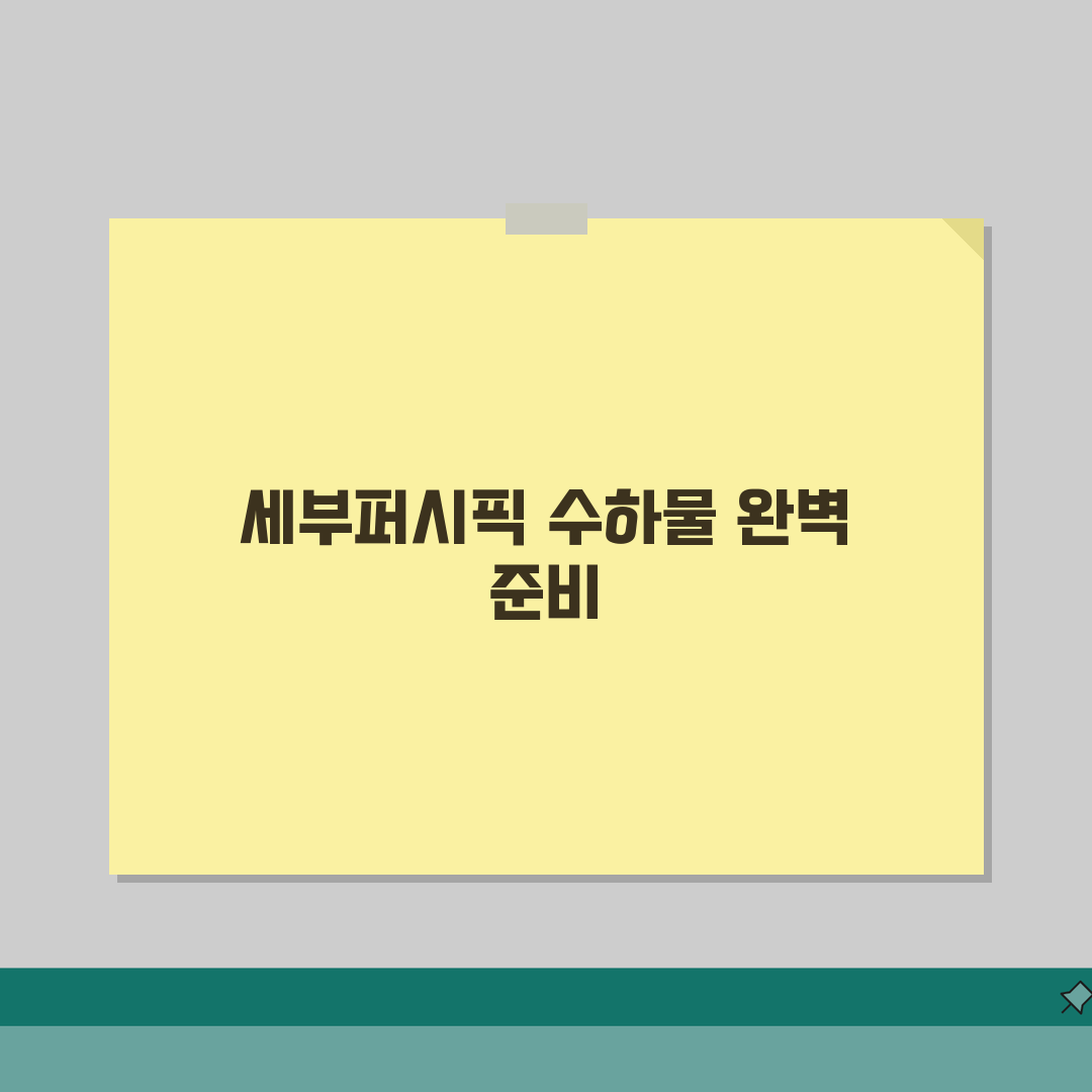 세부퍼시픽 항공 수하물 규정과 기내반입 제한품목, 이것만 알면 끝!