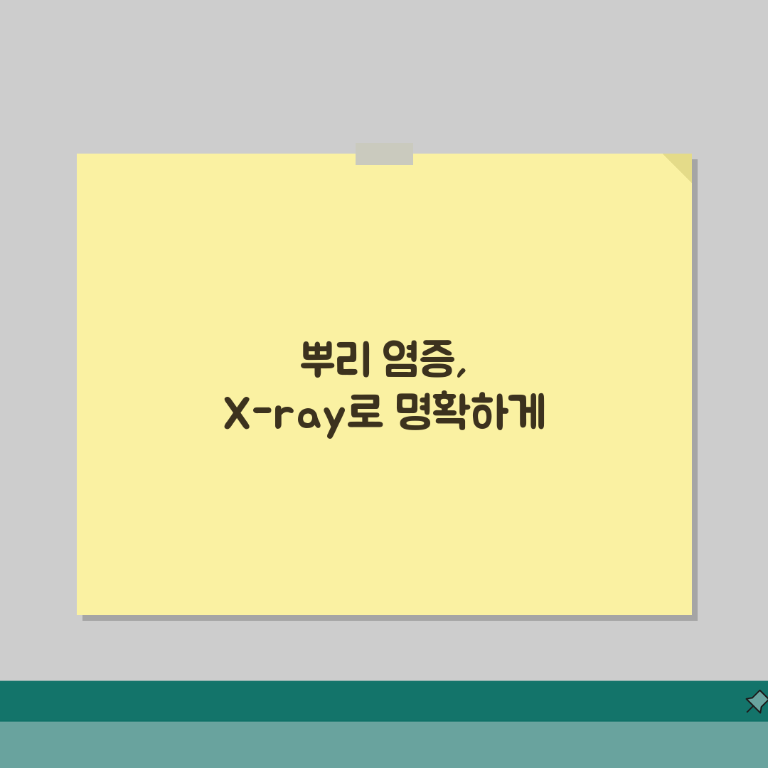 치근단 X-ray 뿌리 염증 소견 완벽정리 | 치근단 염증 근관치료 신경치료 솔직후기, 직