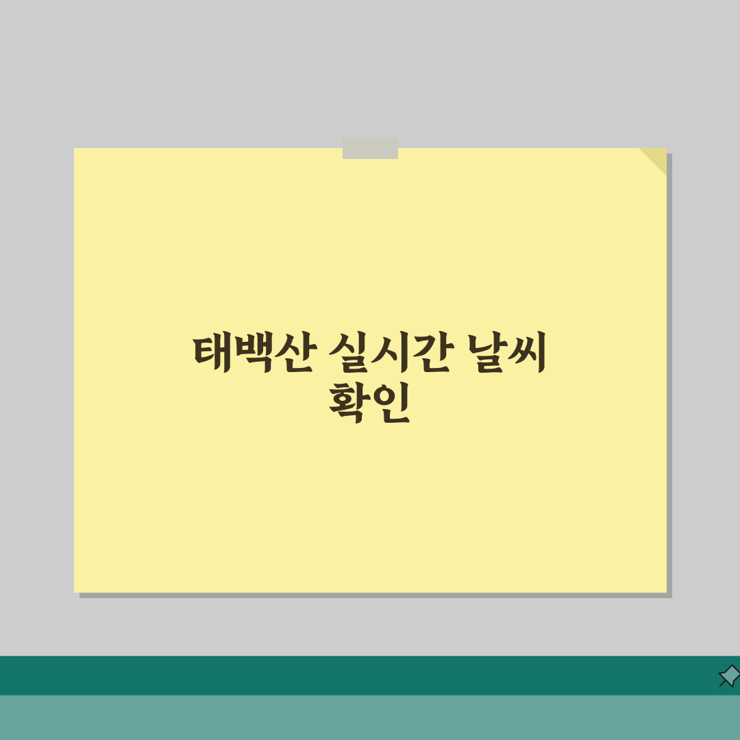 태백산 국립공원 CCTV | 태백산 실시간 날씨 CCTV 완벽정리, 직접 해봤어요