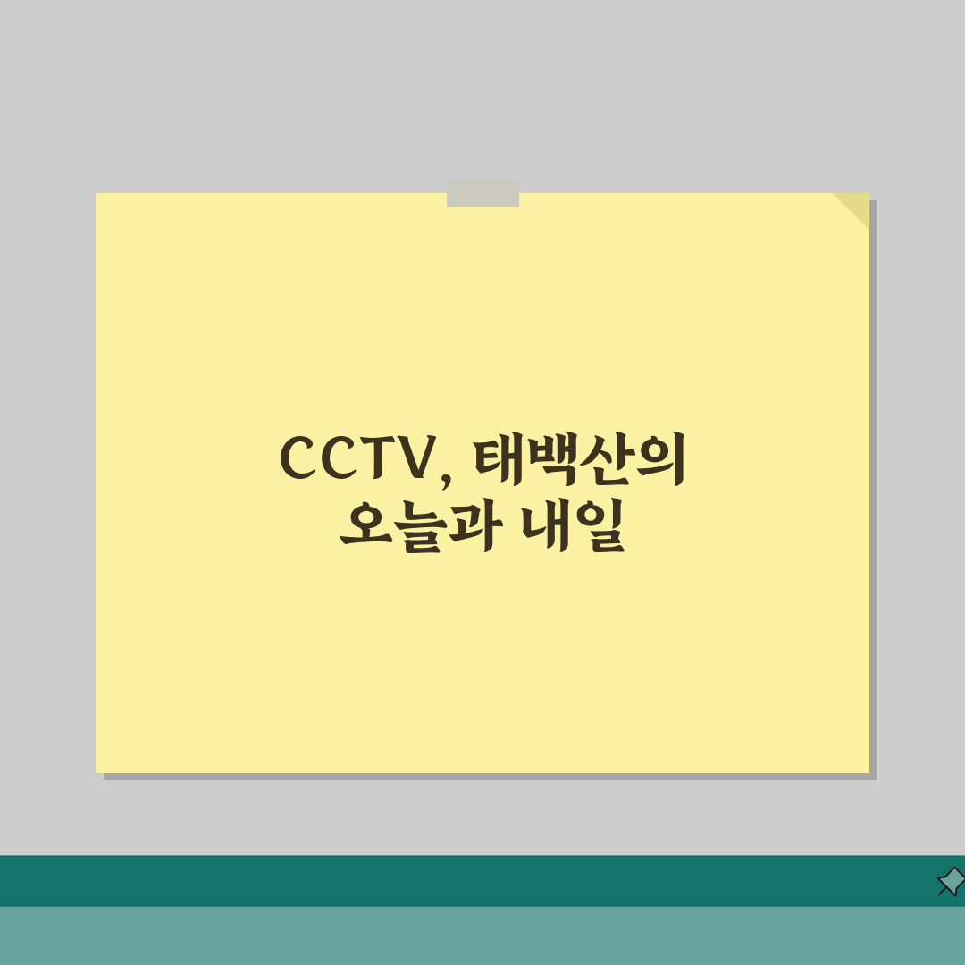 태백산 국립공원 CCTV | 태백산 실시간 날씨 CCTV 완벽정리, 직접 해봤어요