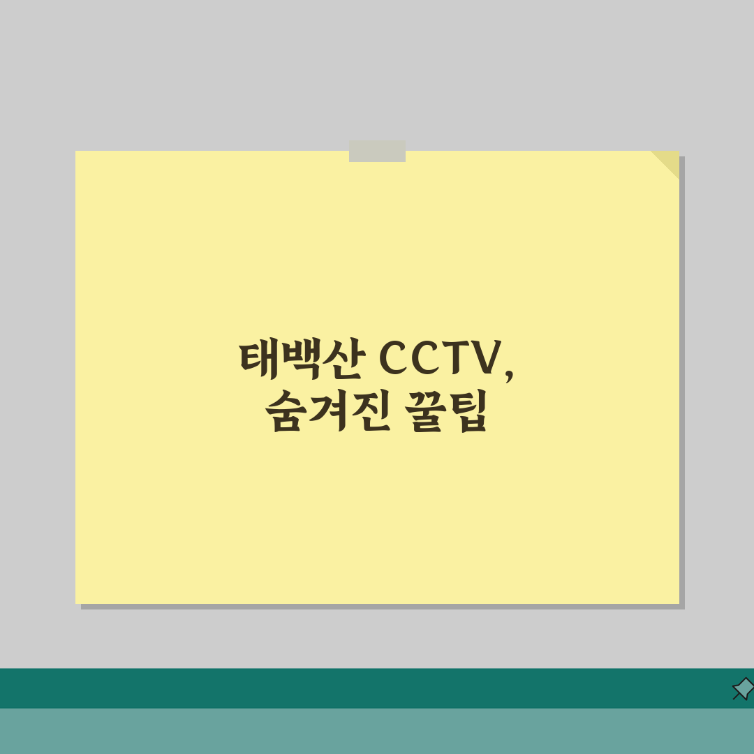 태백산 국립공원 CCTV | 태백산 실시간 날씨 CCTV 완벽정리, 직접 해봤어요
